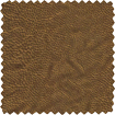 Rodeo
